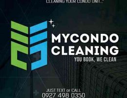 MYCONDOCLEANING FLYERS Building
